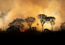 Se nada mudar, Pantanal voltará a queimar em 2021